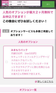 IIJmio申し込み画面の説明
