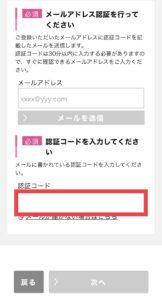IIJmio申し込み画面の説明