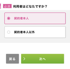 IIJmio申し込み画面の説明