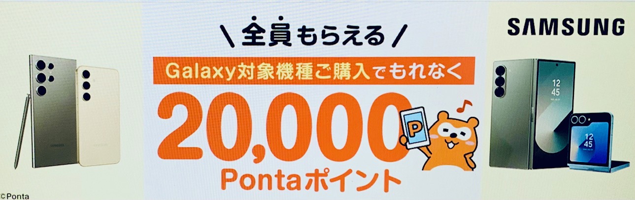 au-Galaxy-20000ポイント