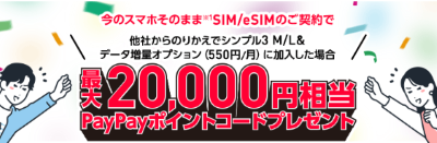 20000yen paypaypointcode